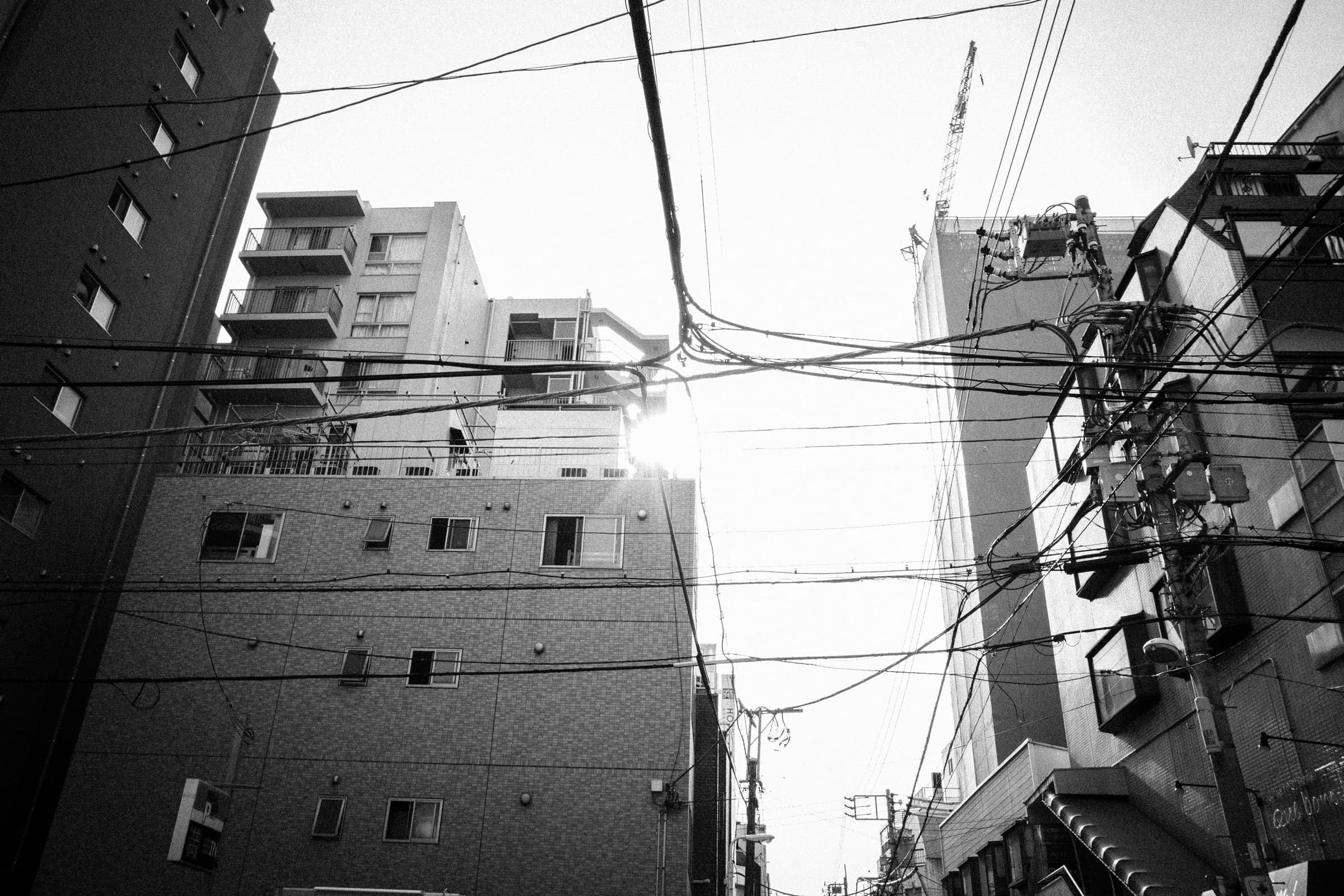 Matsuri — frame 10